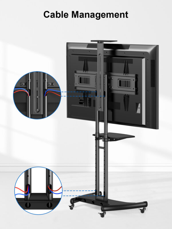 BETCL2-01B - Image 6